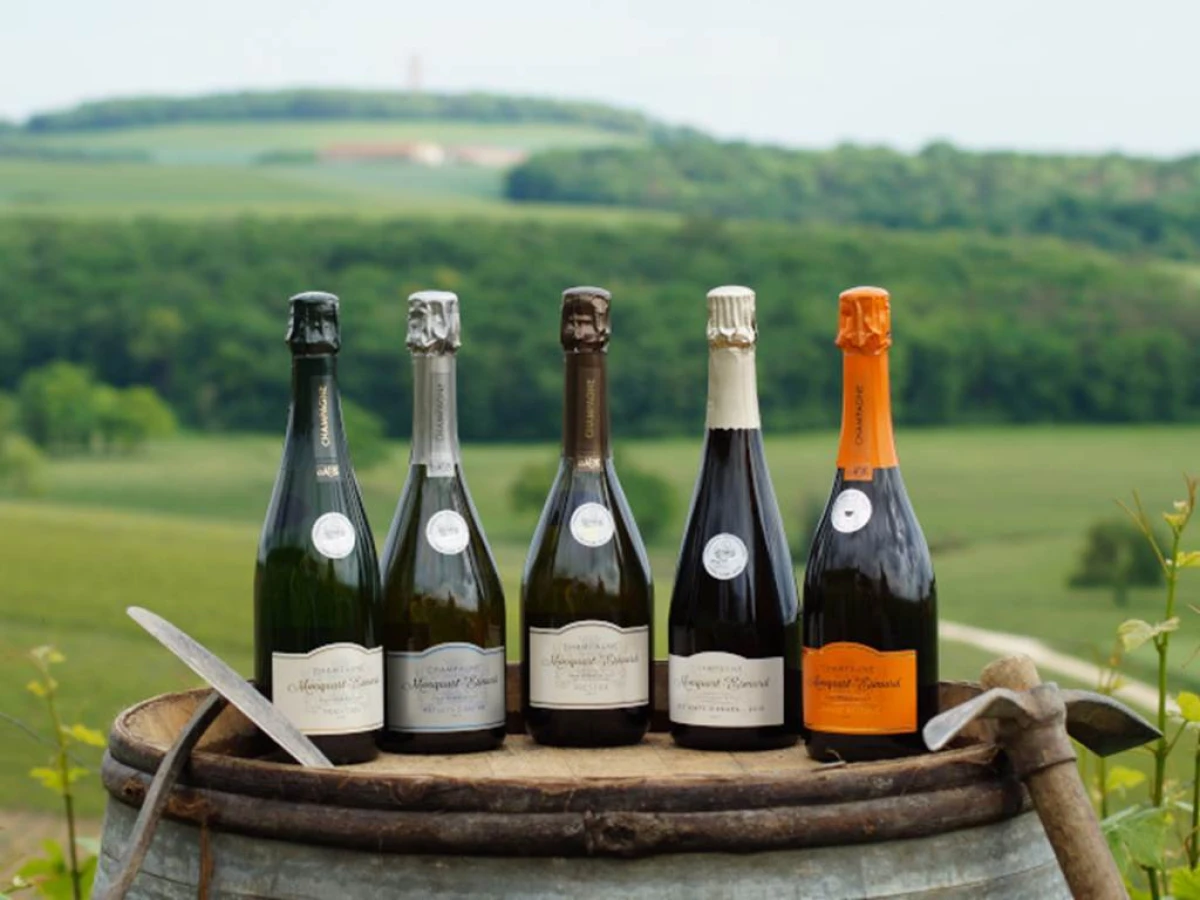 L'Aventurine - Vignerons Indépendants