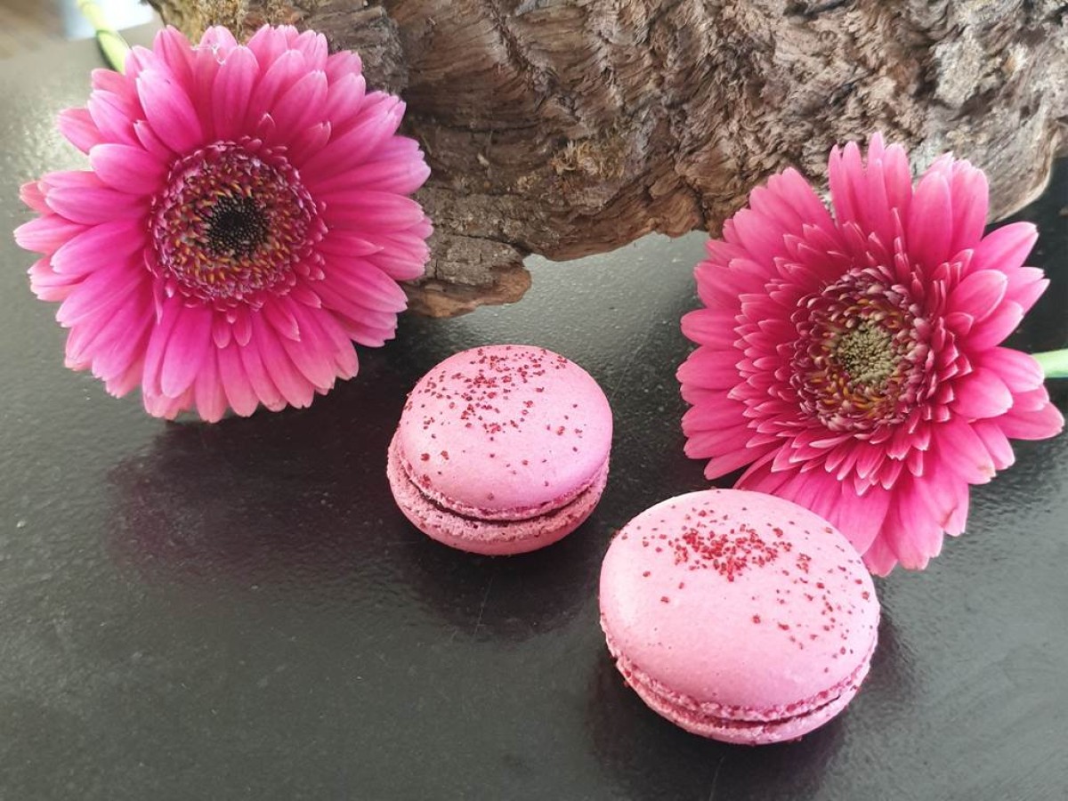 "L'Historique" - Vignerons Indépendants