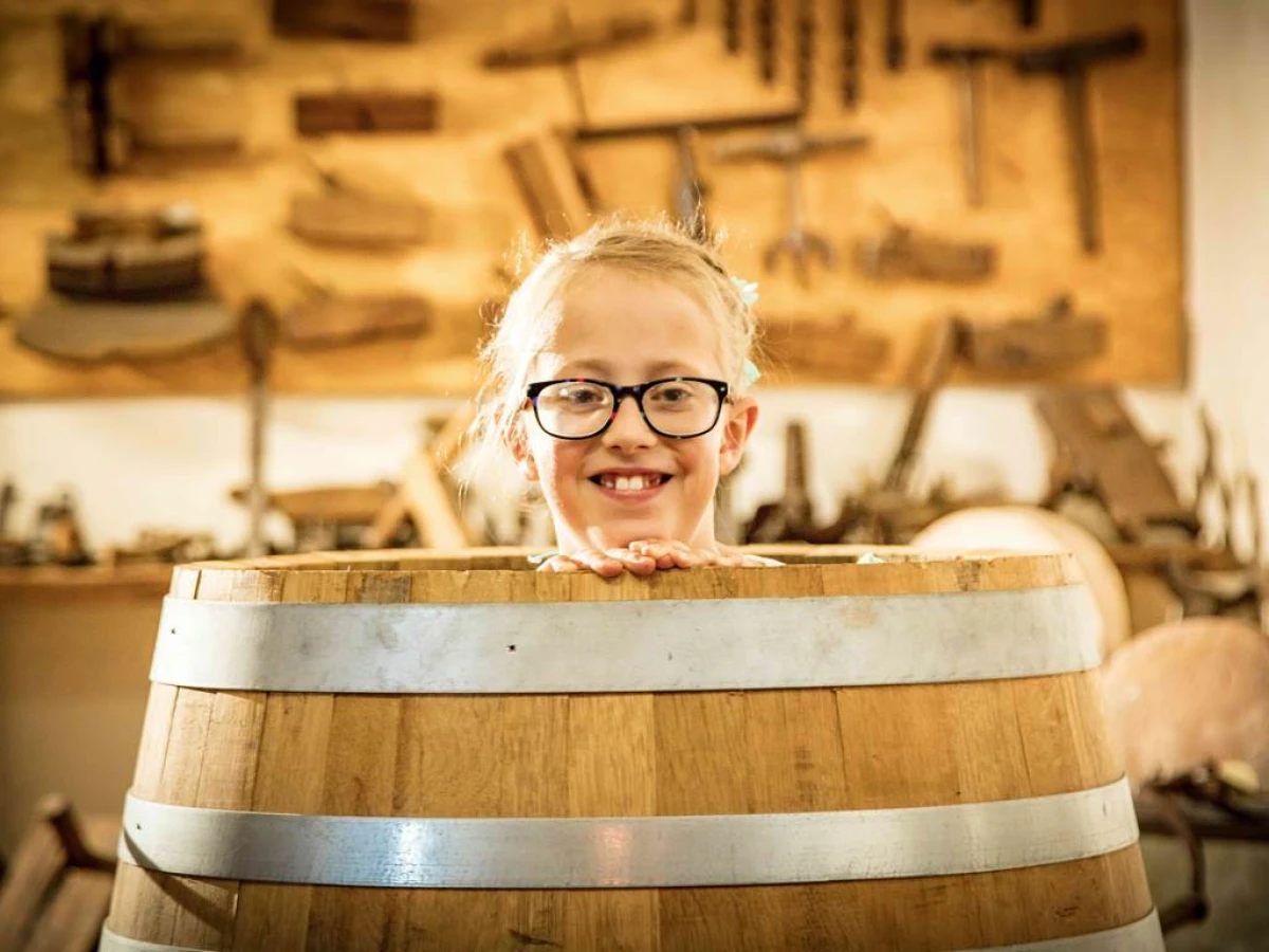 L’Immersion : Une Expérience unique au Cœur du Domaine Castan - Vignerons Indépendants