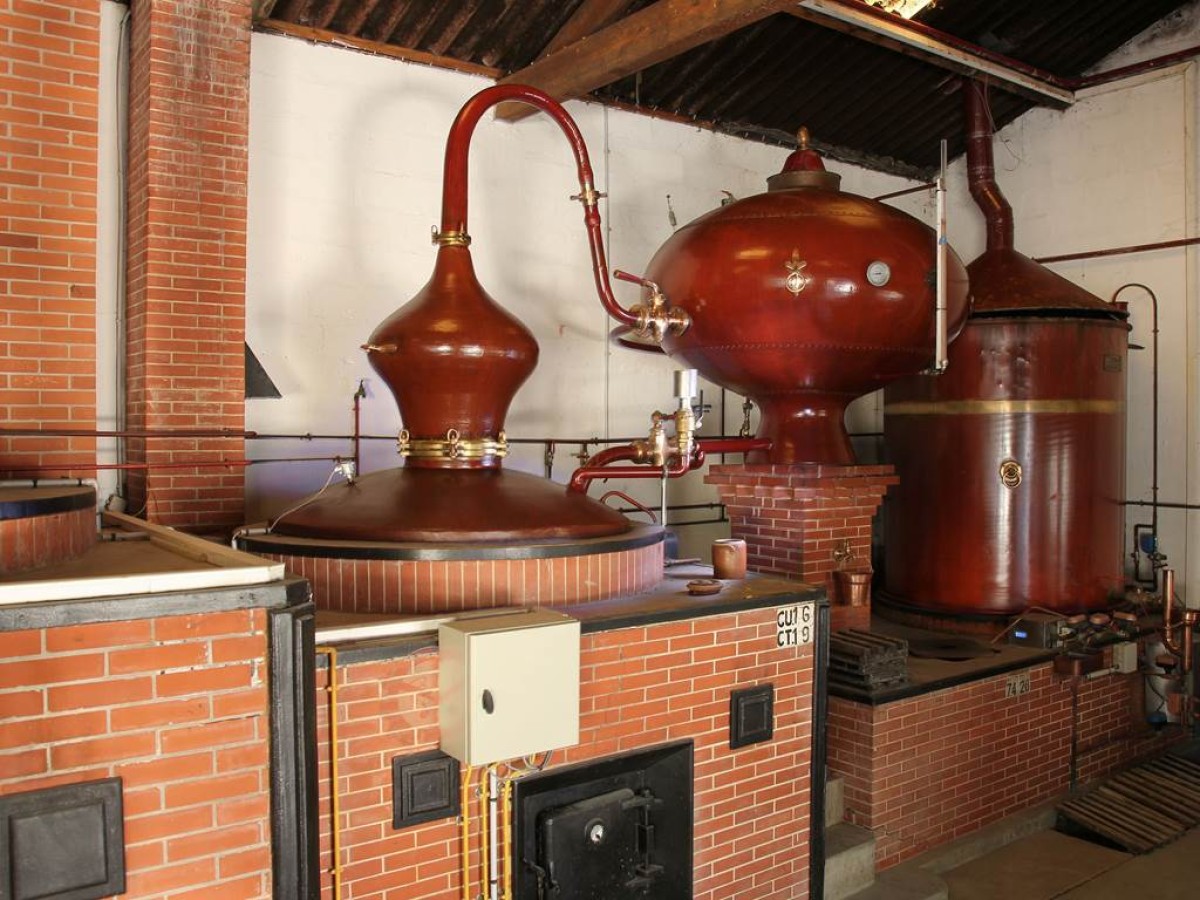 L'univers du vigneron-distillateur - Vignerons Indépendants