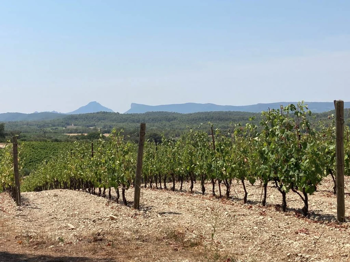 La Bergerie de Fenouillet - Vignerons Indépendants