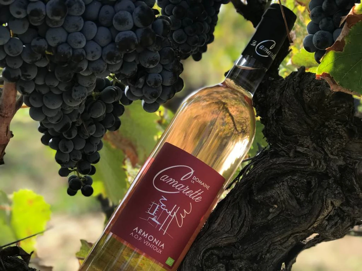 La Chasse au Vin - Vignerons Indépendants