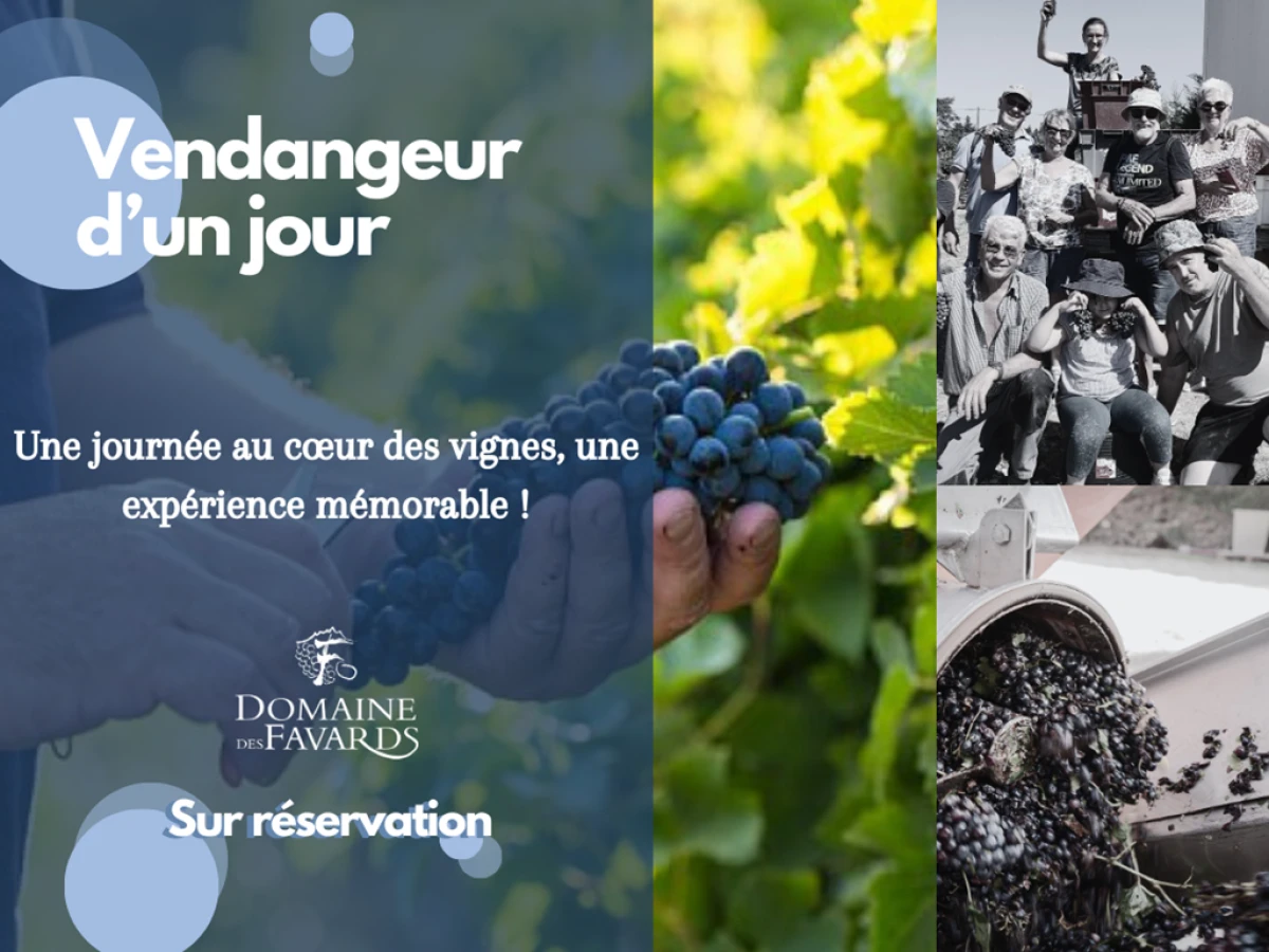 La fête des Vendanges - Vignerons Indépendants