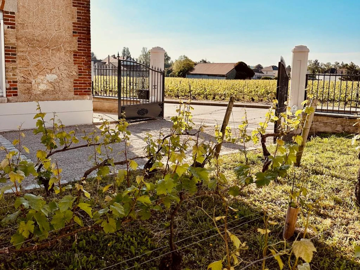 La Maison du Clos - Vignerons Indépendants