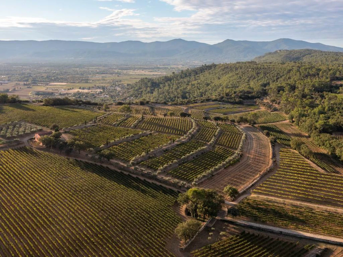 La Quintessence de La Mascaronne - Visite et dégustation - Vignerons Indépendants