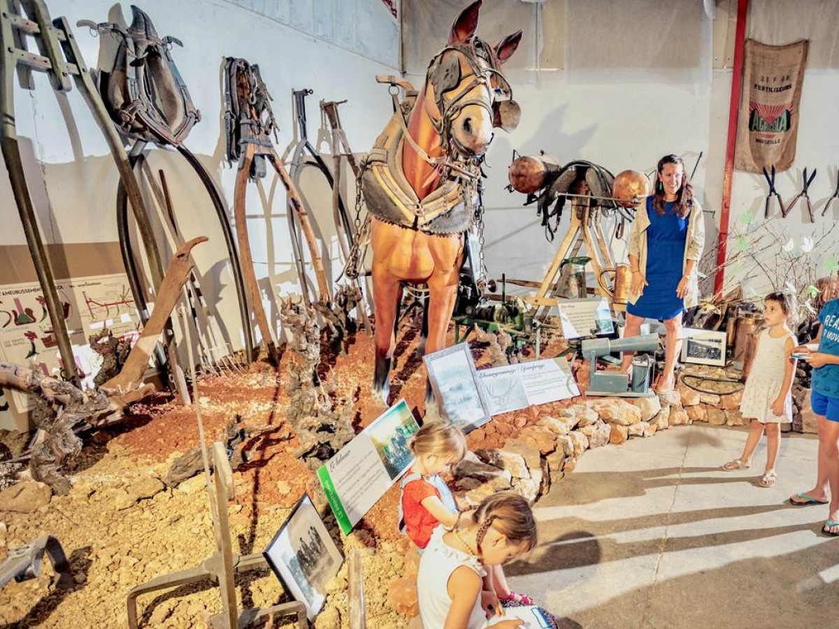 La Surprise : Une Dégustation Mystère au Domaine Castan - Vignerons Indépendants