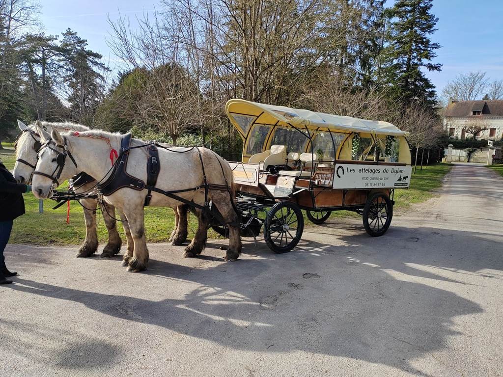 La vigne et le vin, au rythme des sabots - Vignerons Indépendants