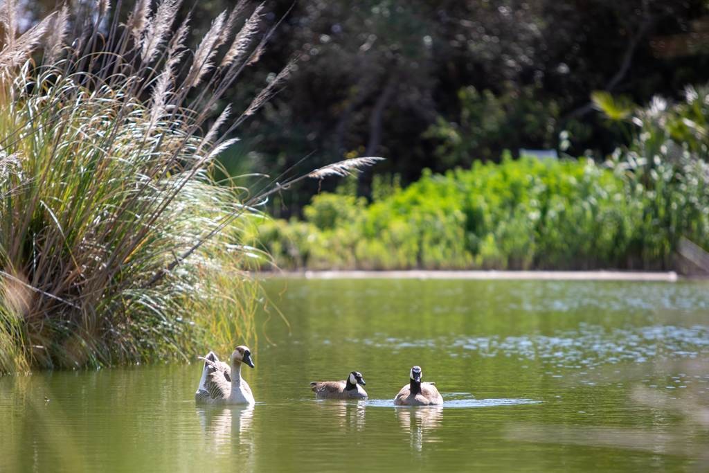 La visite Aphorique - Vignerons Indépendants