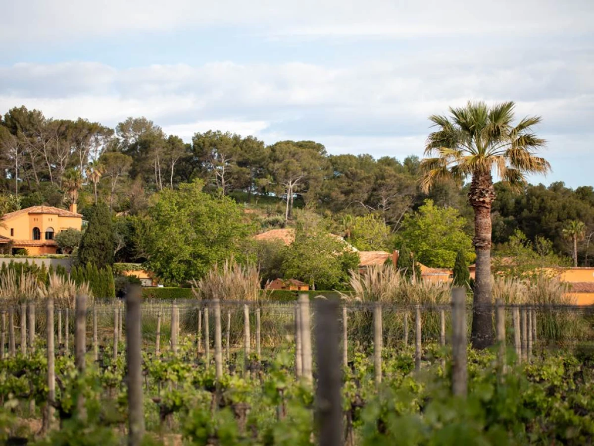 La visite Atypique - Vignerons Indépendants