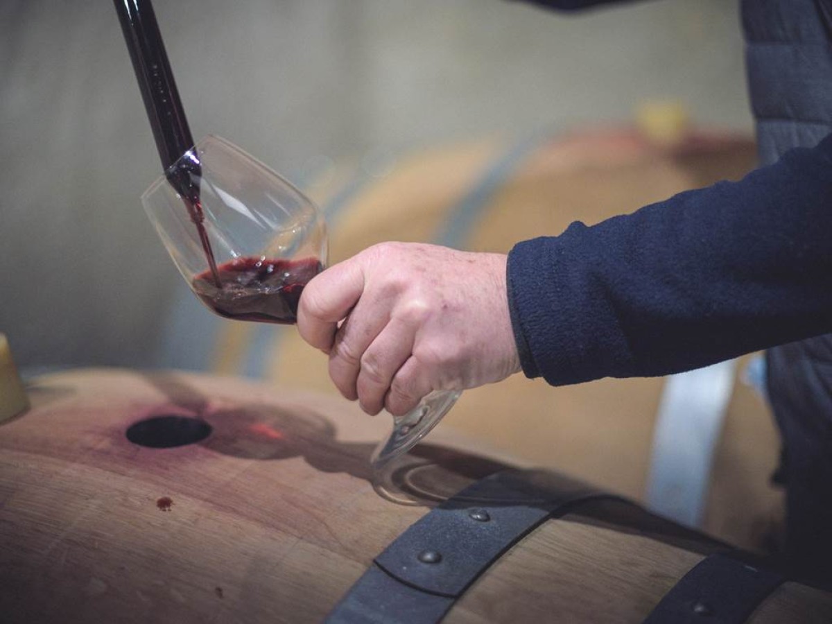 La visite et dégustation "In Vino" : Dans les secrets des vins en cours d'élevage - Vignerons Indépendants