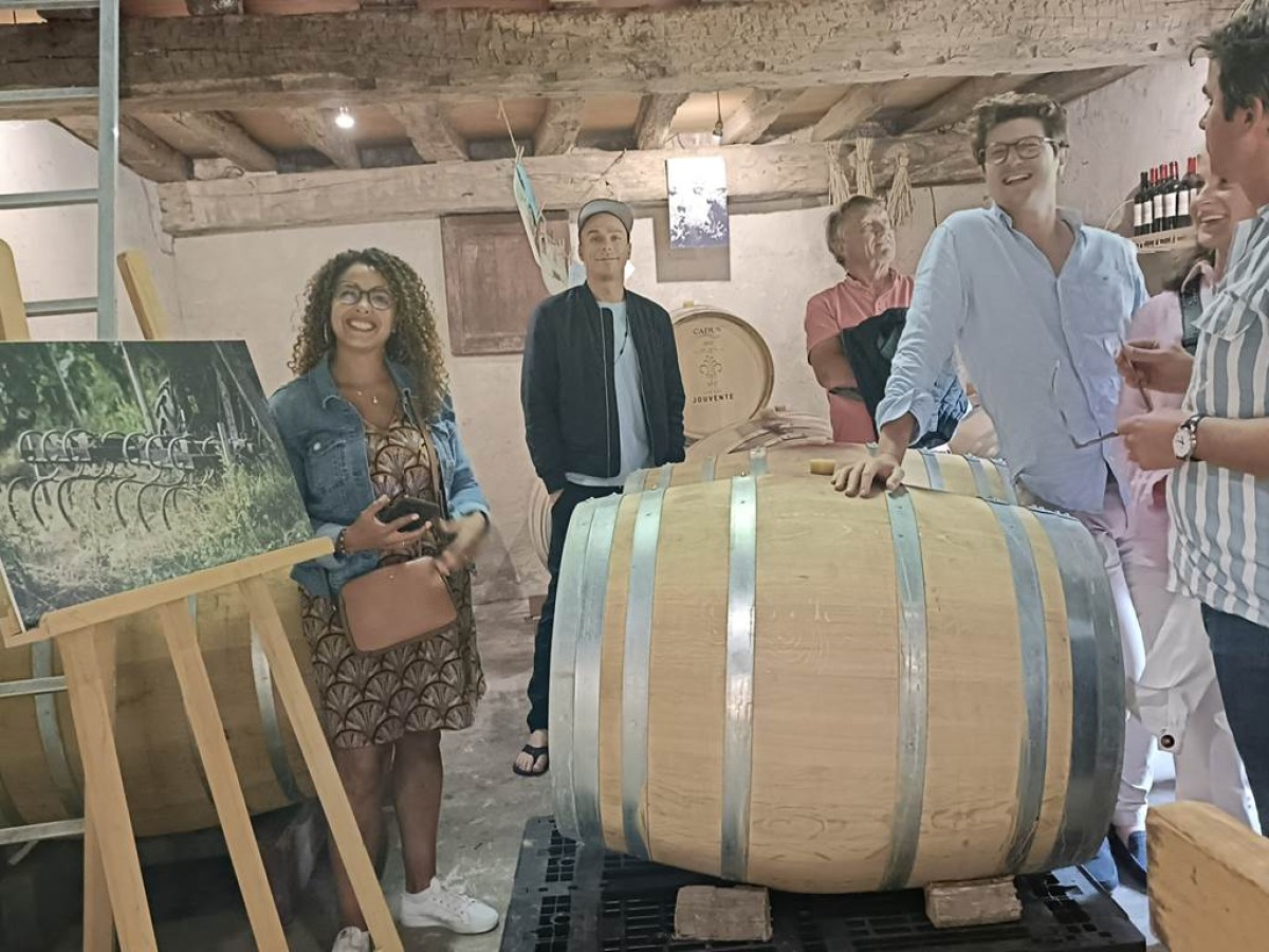 La visite et dégustation "Transmission" : le grand classique de Jouvente - Vignerons Indépendants