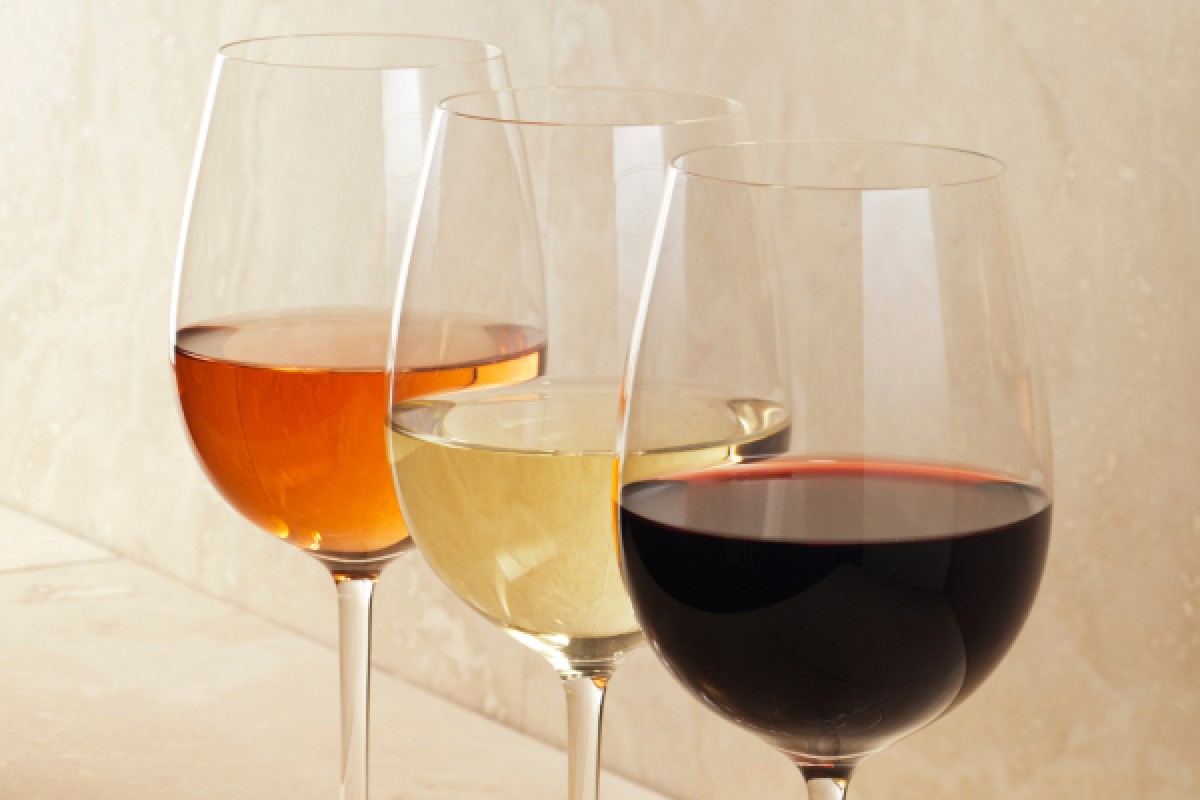 La visite - Vignerons Indépendants