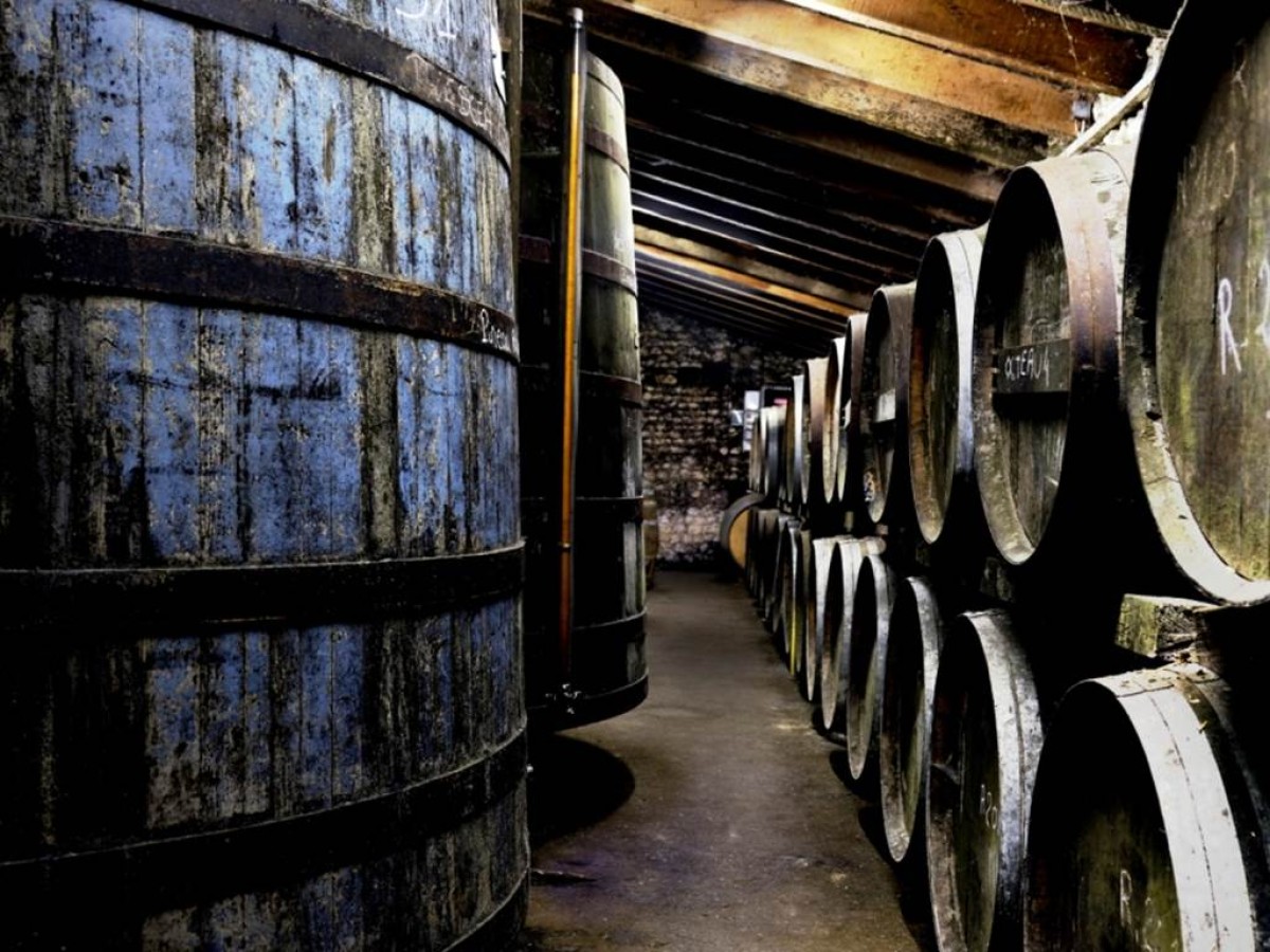 Le Masterclass Cognac - Vignerons Indépendants