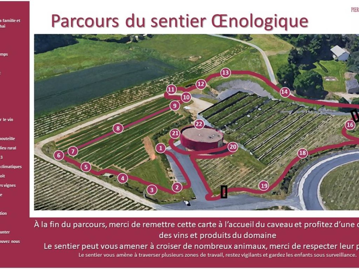 Le sentier pédagogique - Vignerons Indépendants