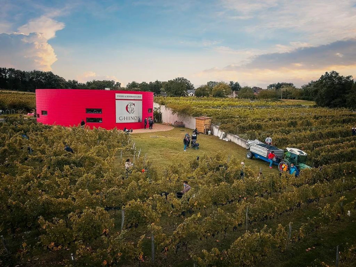 Le sentier pédagogique - Vignerons Indépendants