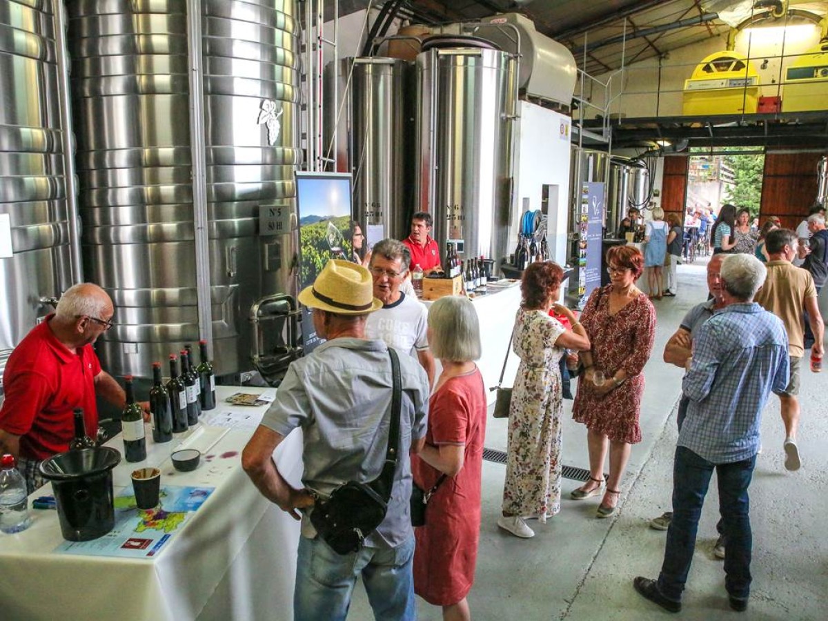 LES COPAINS VIGNERONS DEBARQUENT AU DOMAIEN VAYSSETTE - Vignerons Indépendants