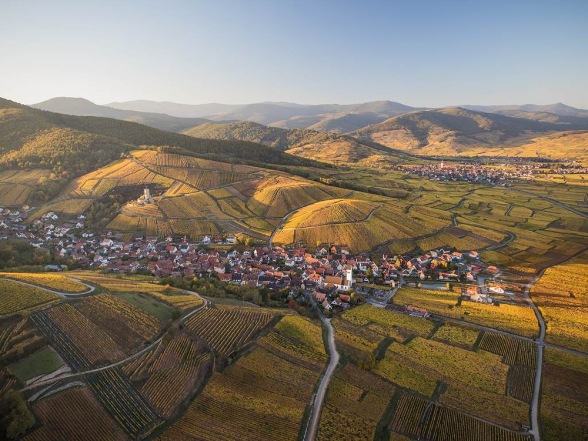 Les Gîtes de la Mère Michèle - Vignerons Indépendants