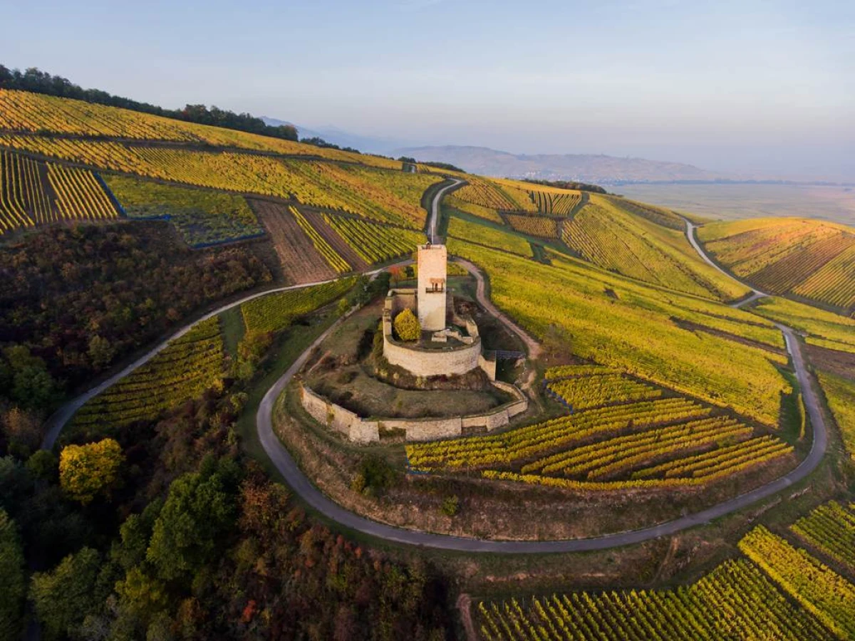 Les Gîtes de la Mère Michèle - Vignerons Indépendants