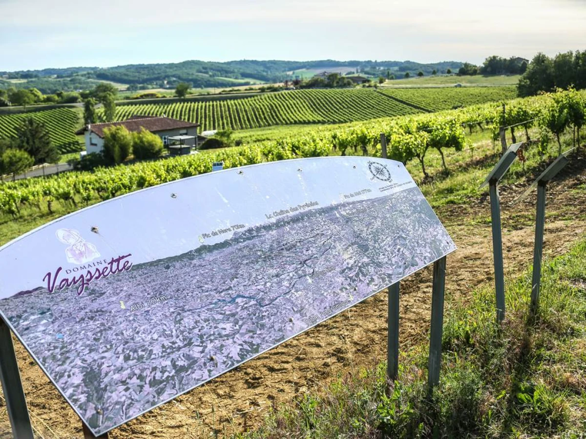 LES JEUDI DE L ETE AU DOMAINE : UN VOYAGE EN 3 ETAPES - Vignerons Indépendants