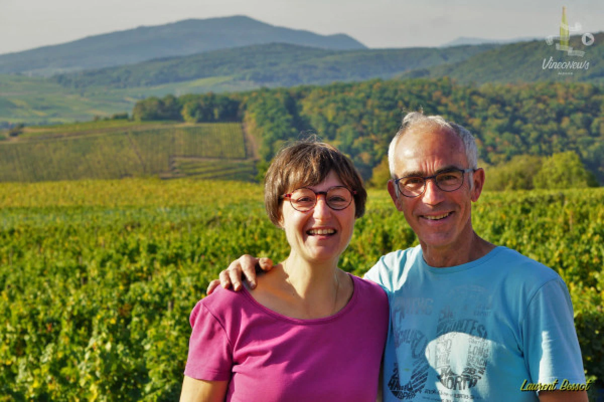 Les Sens du Vin - Vignerons Indépendants