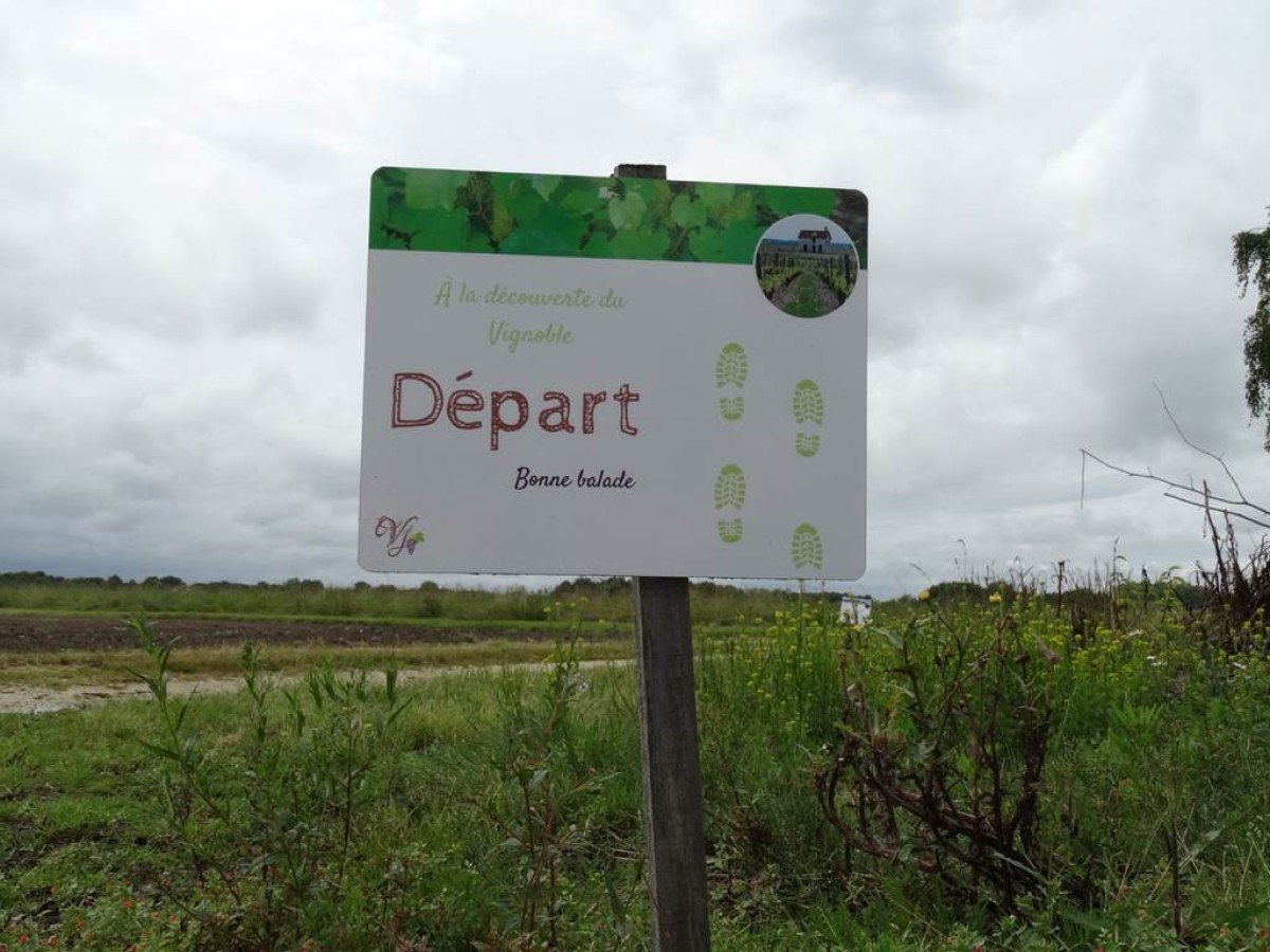 Les sentiers du vin - Vignerons Indépendants