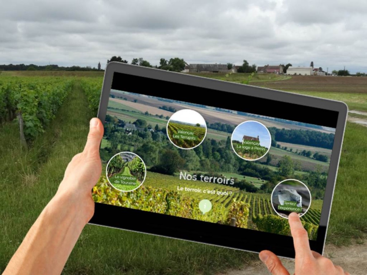 Les sentiers du vin - Vignerons Indépendants