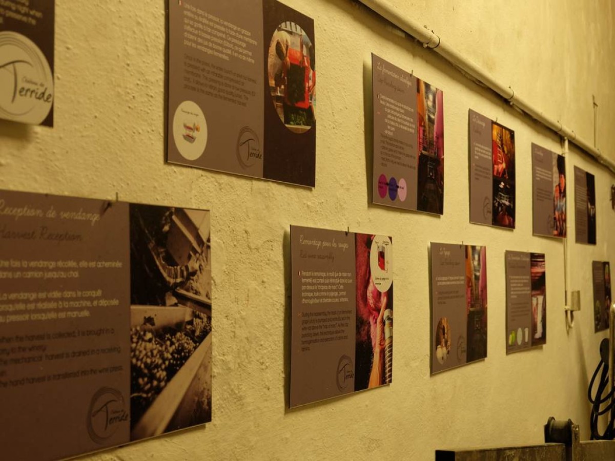 Lundis Terroir - Vignerons Indépendants