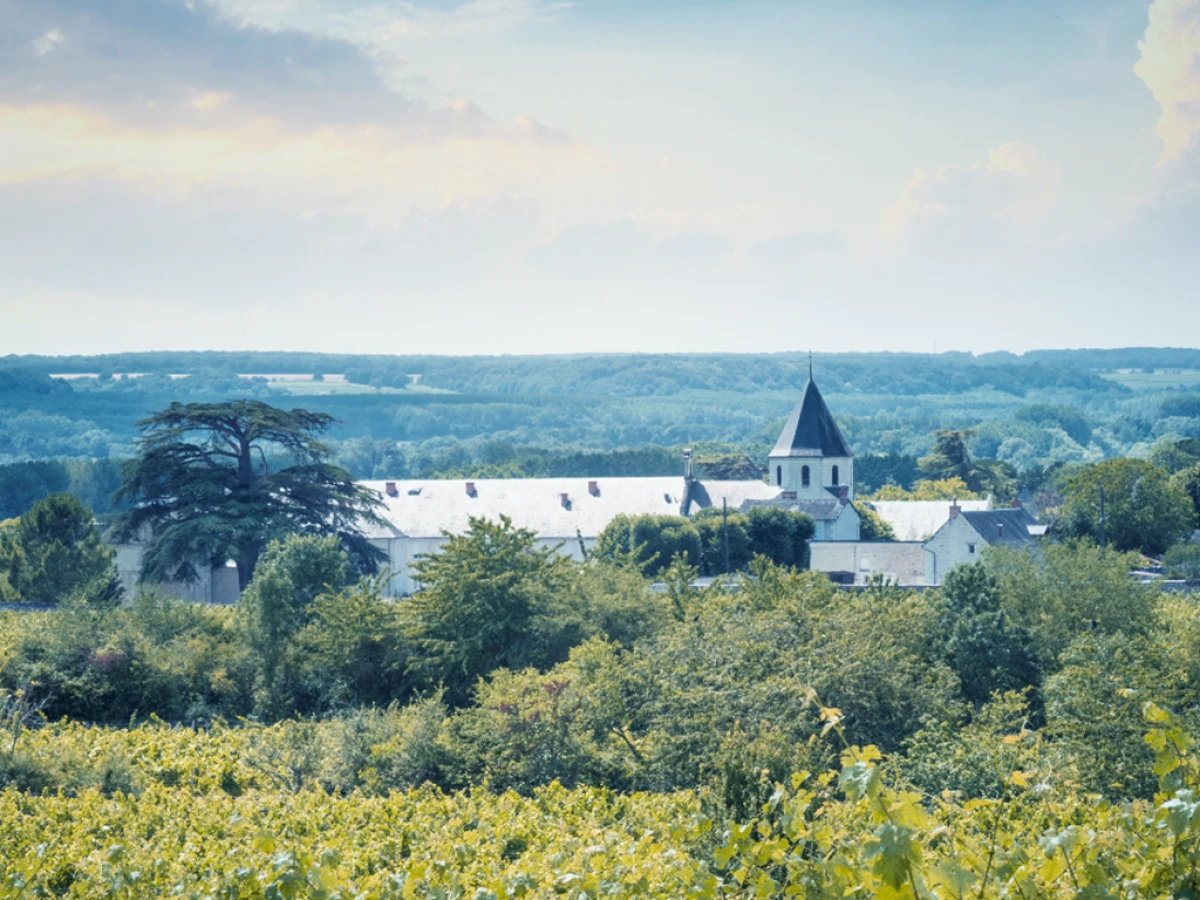 Maisonnette des vignerons chez Pierre & Bertrand Couly - Vignerons Indépendants