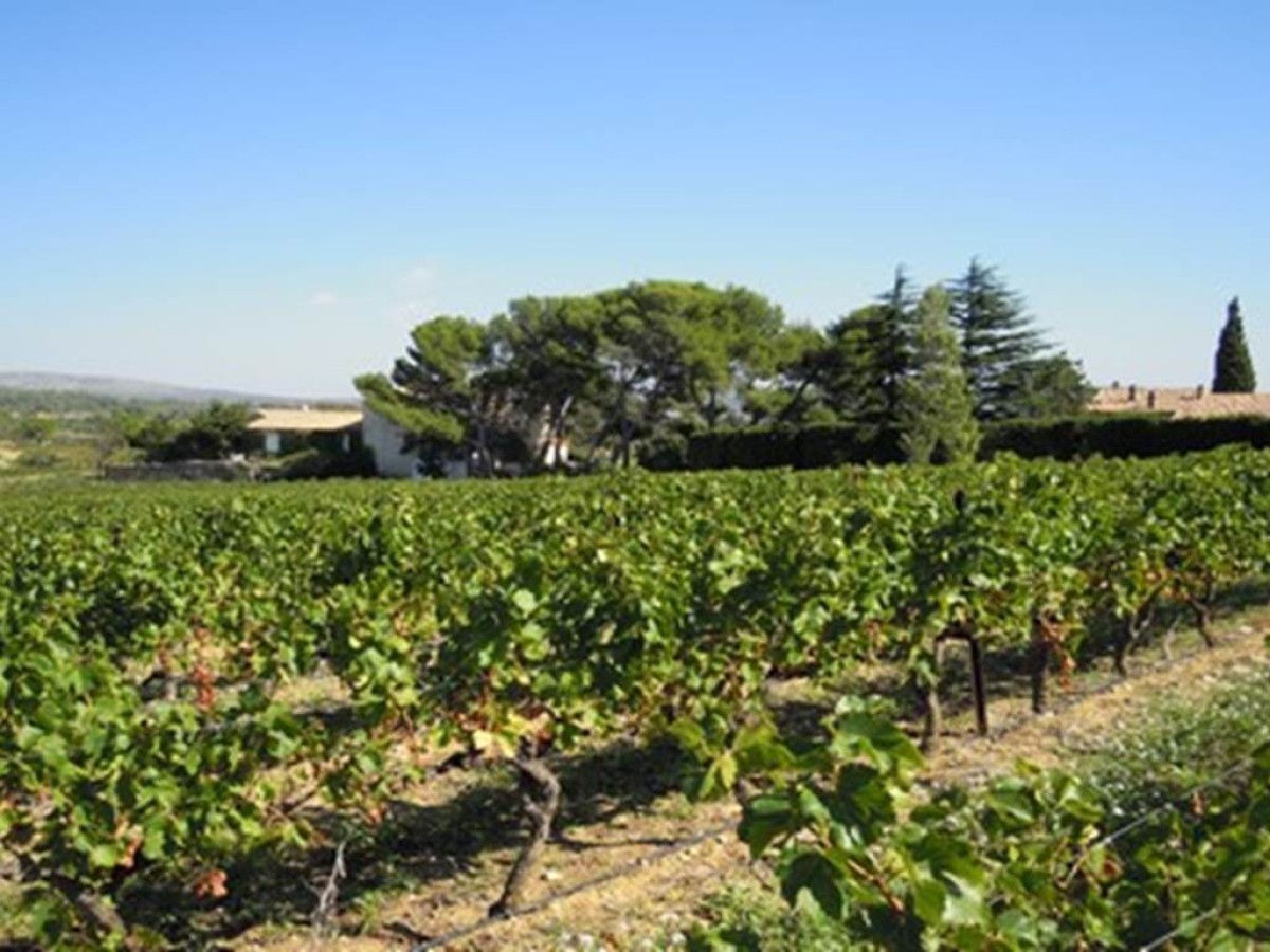 Mas de Bayle - Vignerons Indépendants