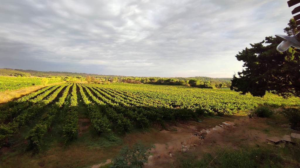 Mas de Bayle - Vignerons Indépendants