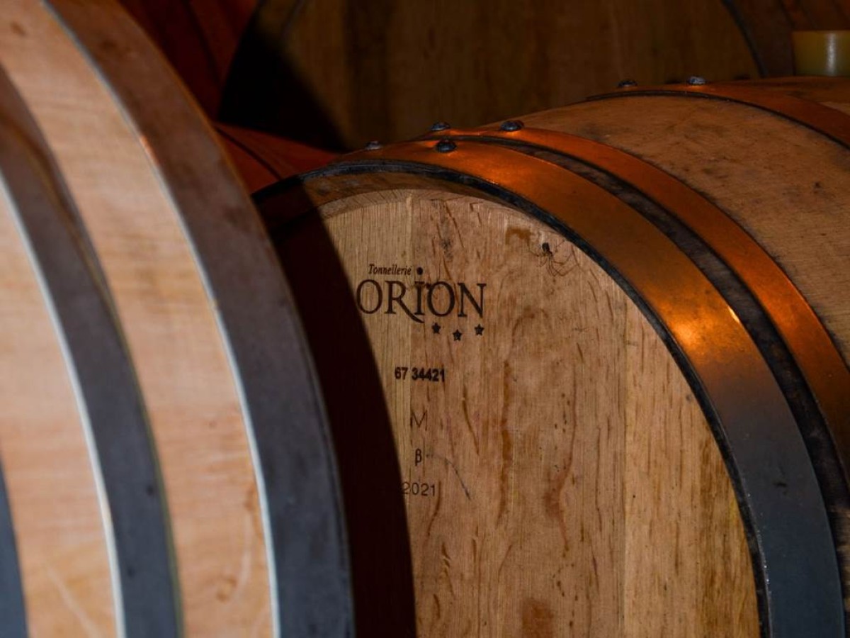 Mémoire du terroir : Les Millésimes du domaine - Vignerons Indépendants