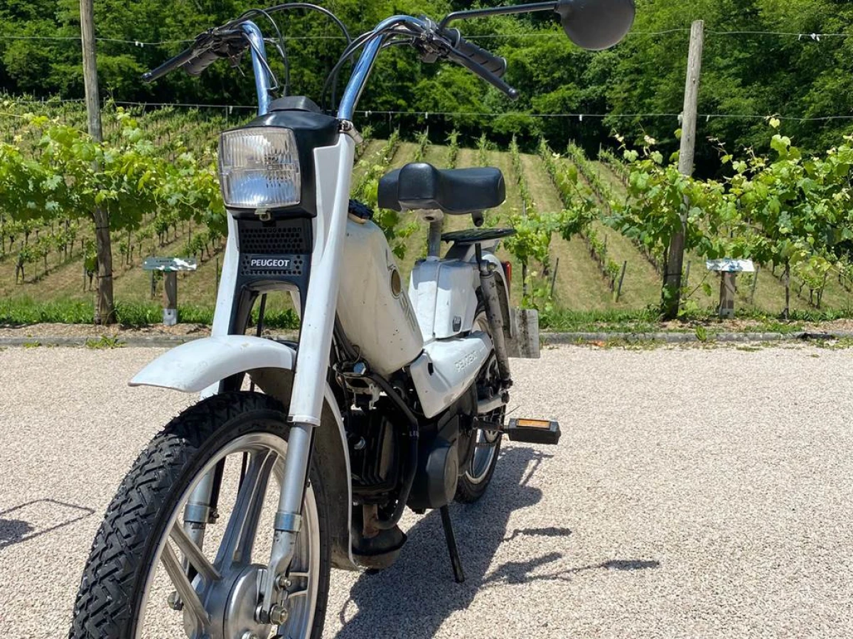 Môbearn, balades en mobylette à travers les coteaux de Jurançon - Vignerons Indépendants