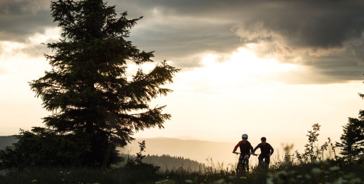 VEL’au crépuscule - Vignerons Indépendants