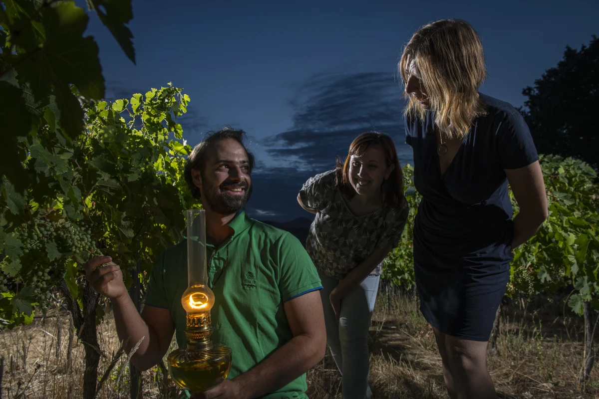 Nocturnes - Les jeudi de juillet & août - Vignerons Indépendants