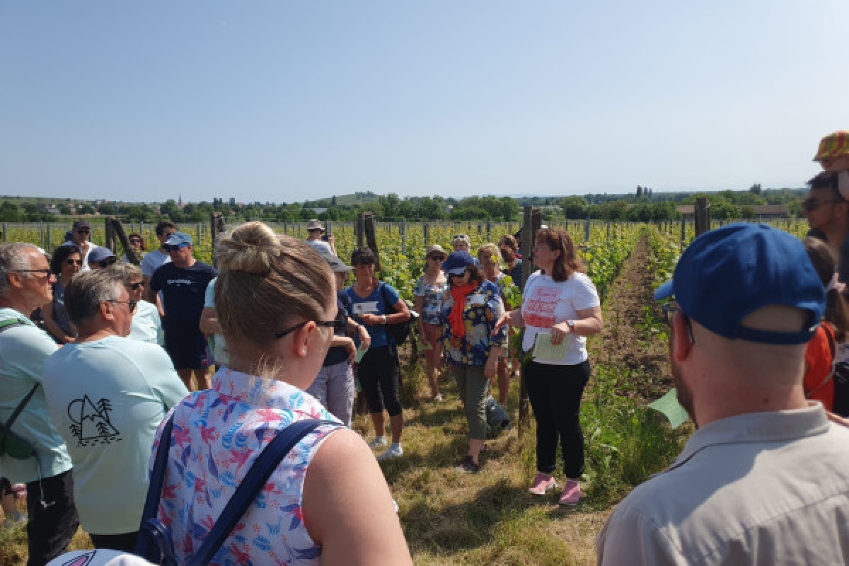 Osez le vin au féminin - Vignerons Indépendants