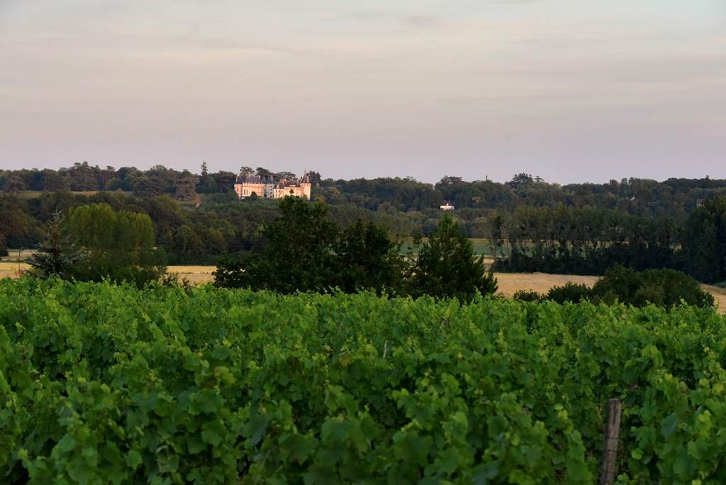 Pack randonnée + dégustation + déjeuner - Vignerons Indépendants