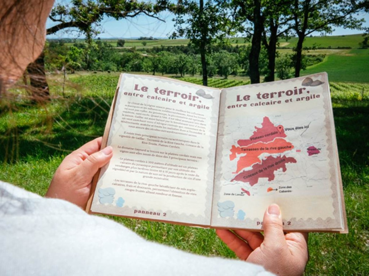 Parcours Itinérant dans les vignes et dégustation - Vignerons Indépendants