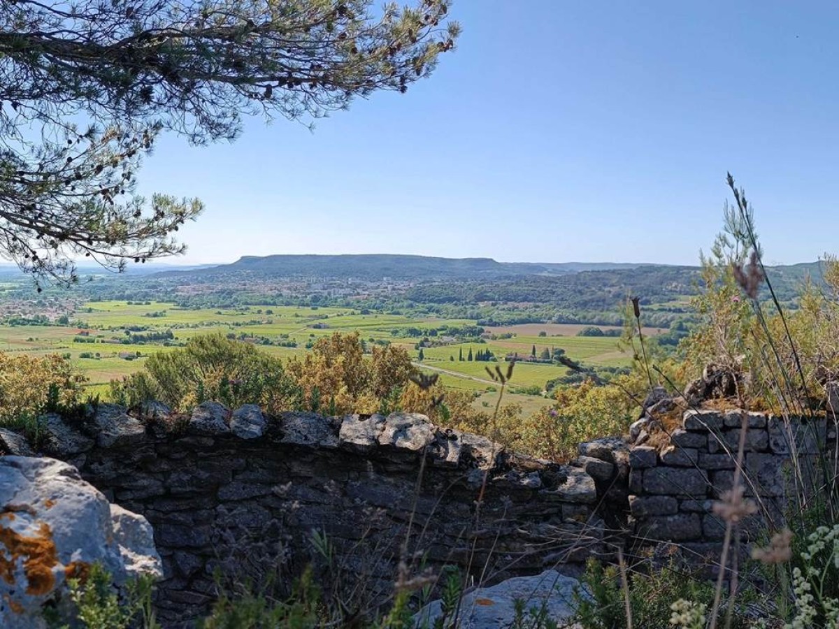 Patrimoine / Paysage : Visite de La Chapelle Saint Victor de Castel - Vignerons Indépendants