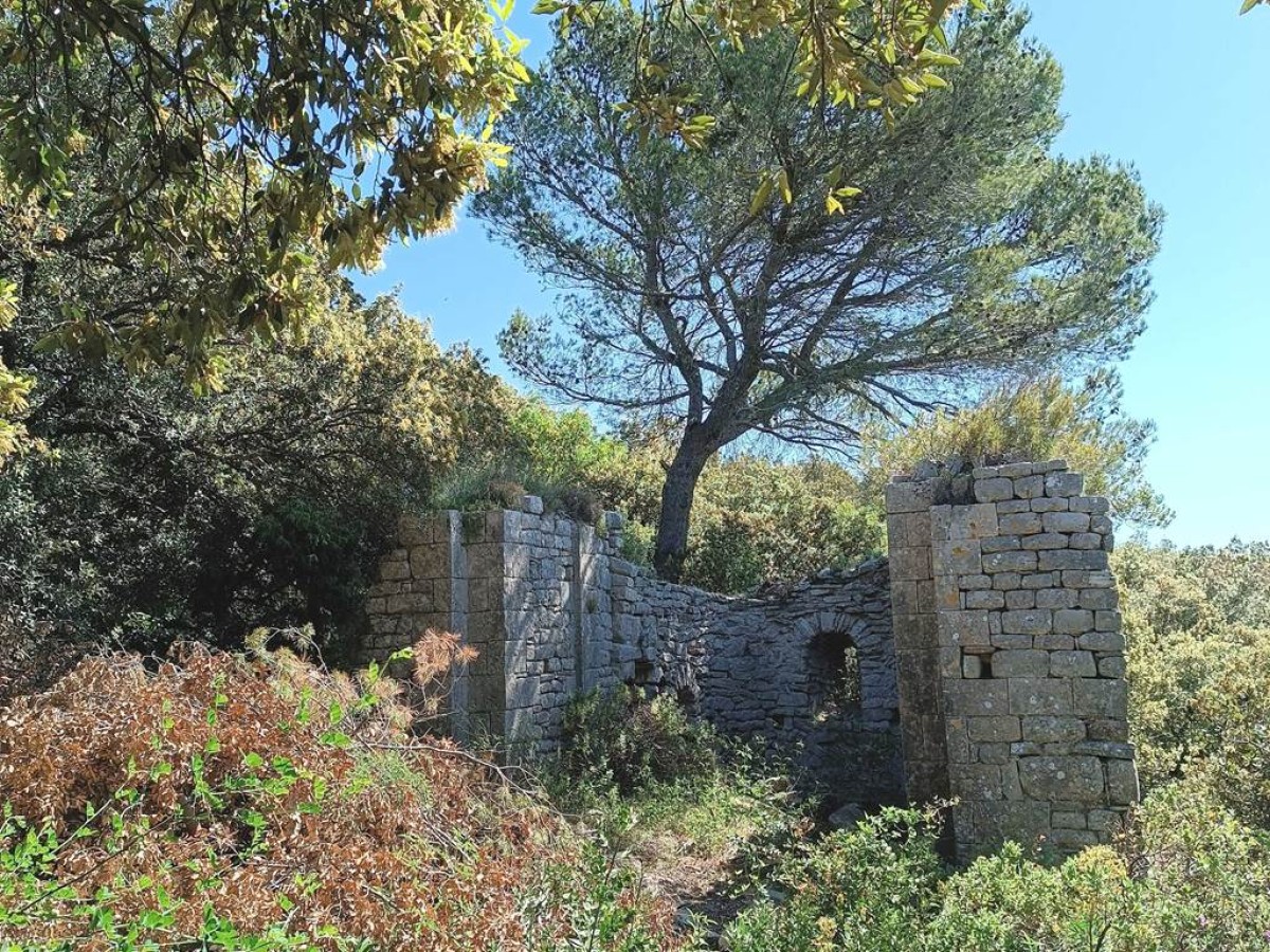 Patrimoine / Paysage : Visite de La Chapelle Saint Victor de Castel - Vignerons Indépendants