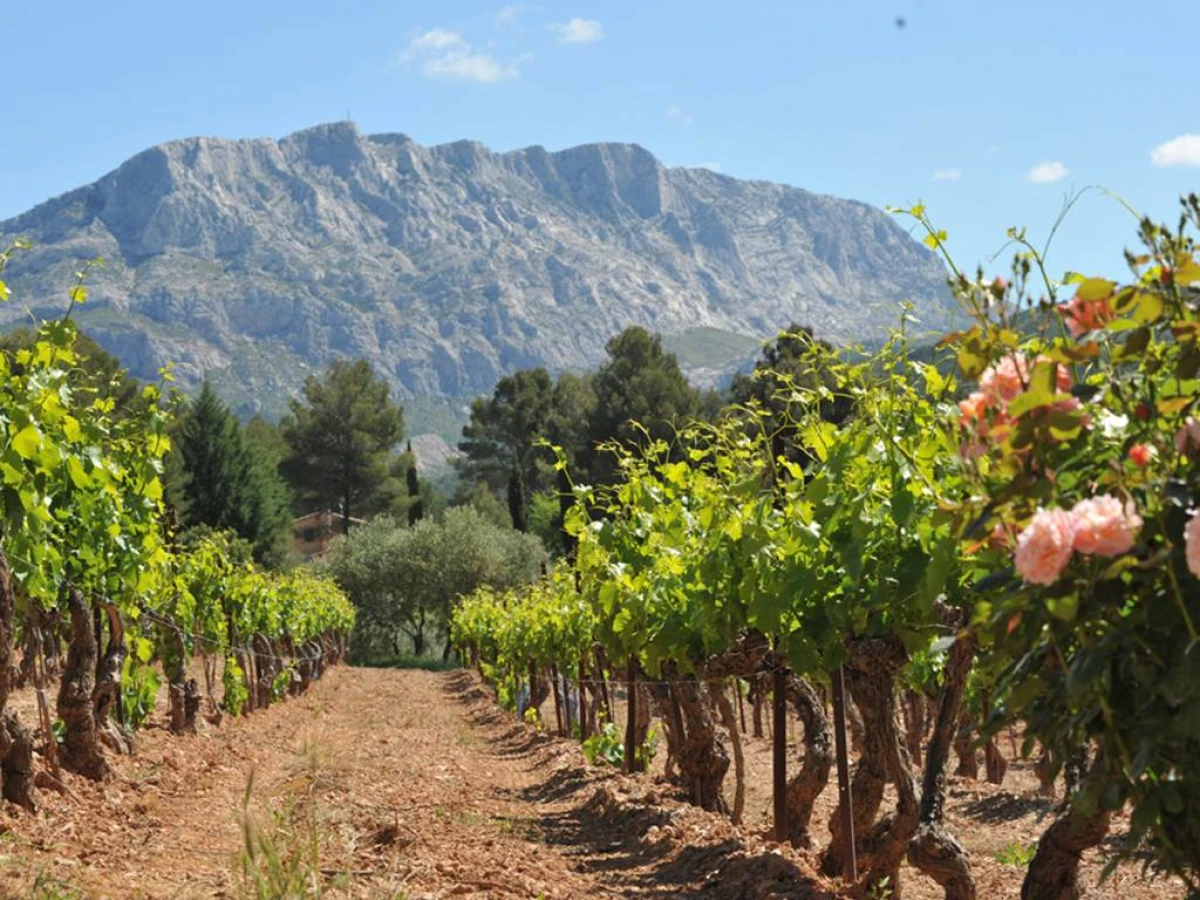 Peinture dans les vignes - Vignerons Indépendants
