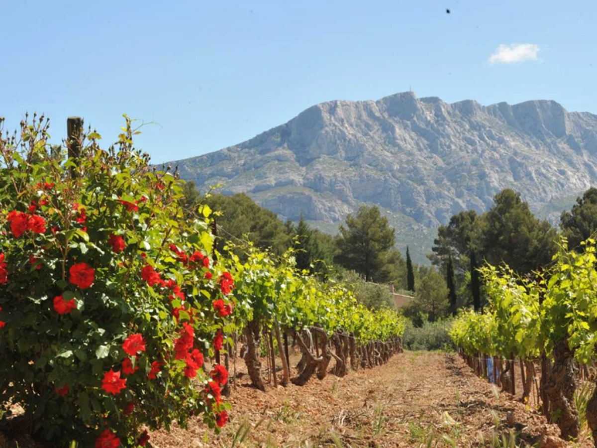 Peinture dans les vignes - Vignerons Indépendants