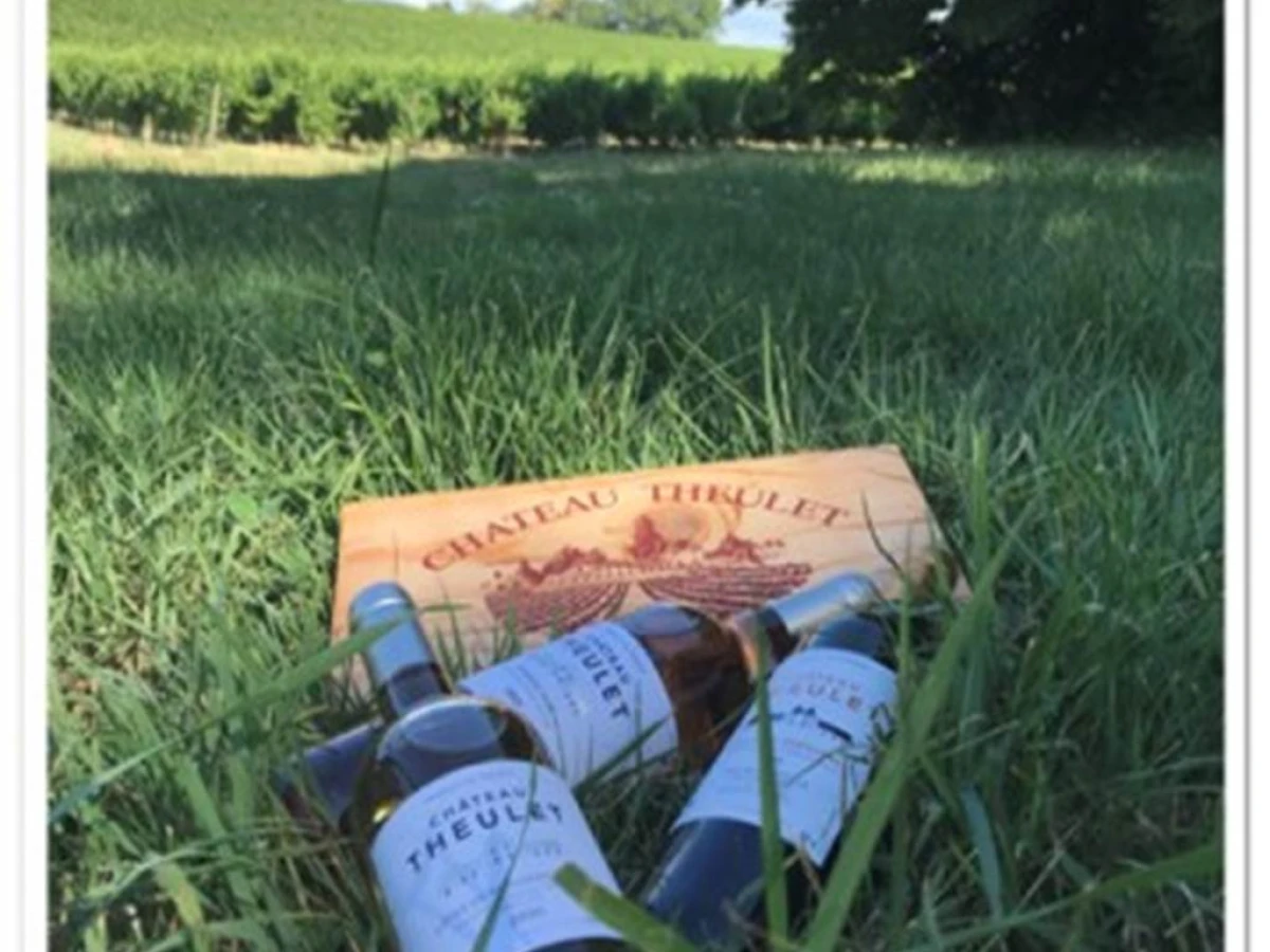Pique-nique au château - Vignerons Indépendants