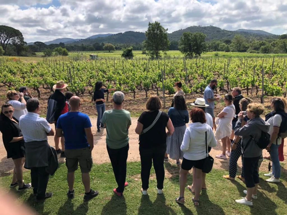 Pique-Nique chez les Vignerons Indépendants du Domaine de Jale - 7 juin de 11h15 à 17h - Vignerons Indépendants