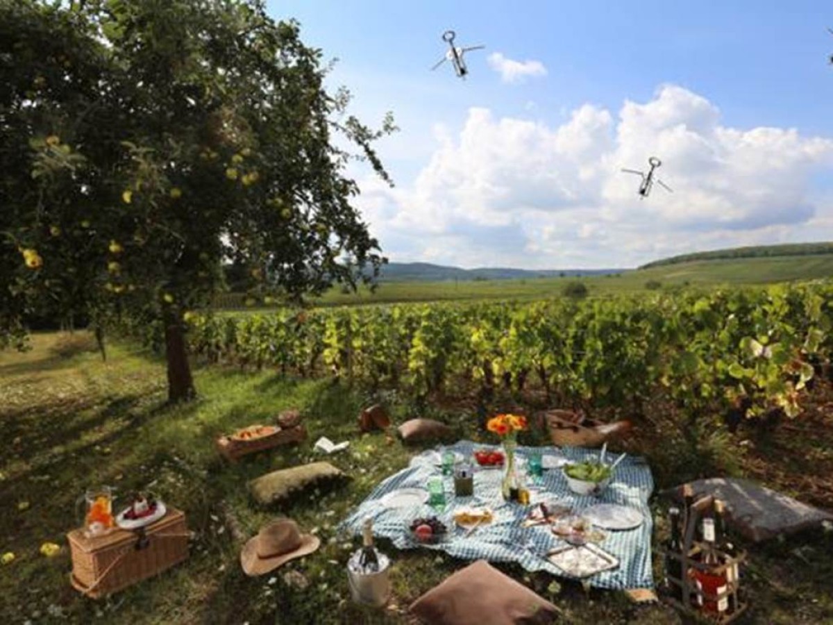 Pique-nique dans les vignes - Vignerons Indépendants