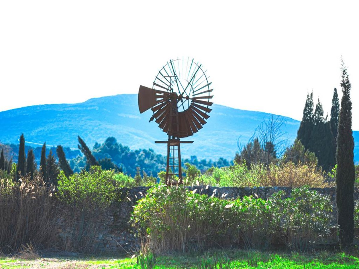Pique-nique dans les vignes - Vignerons Indépendants
