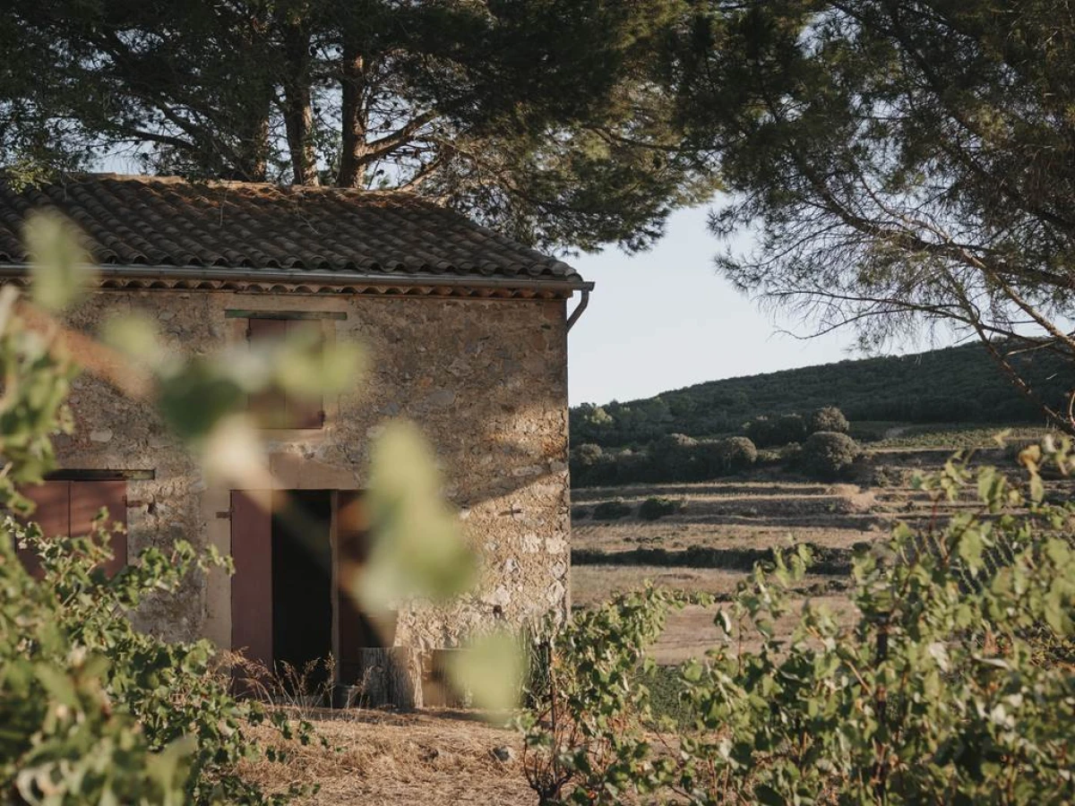 Pique Nique du Vigneron Indépendant - Vignerons Indépendants