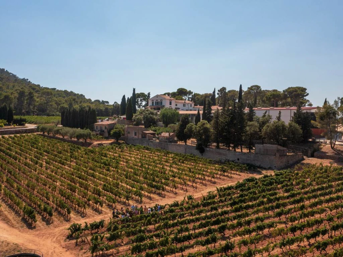 Pique-nique du vigneron - Vignerons Indépendants