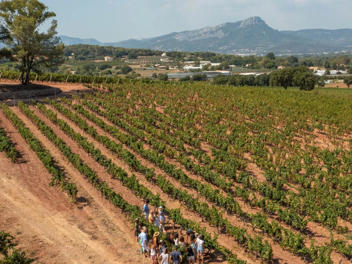 Pique-nique du vigneron - Vignerons Indépendants