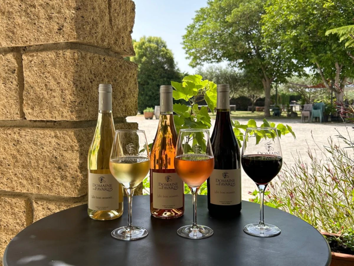 Pique-nique dans les vignes au Domaine des Favards - Vignerons Indépendants