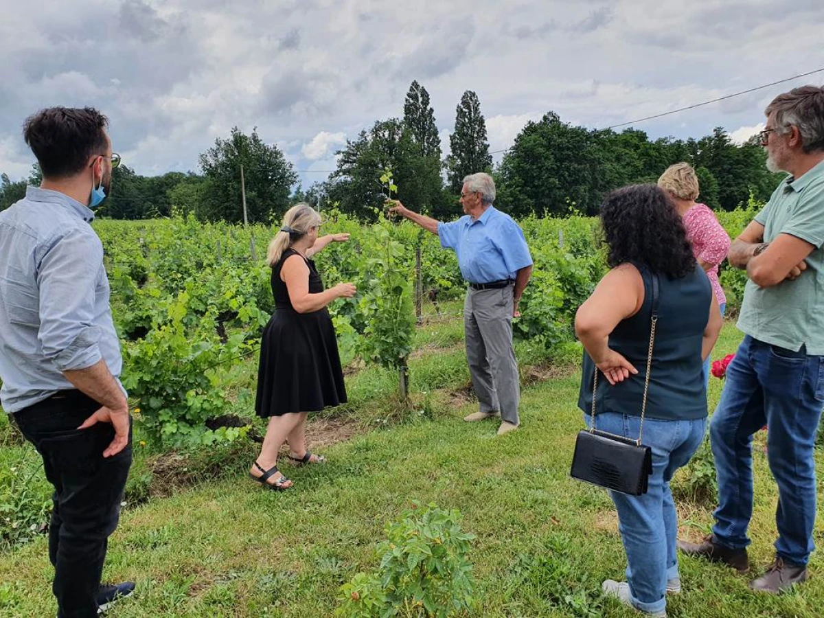 Pique-nique Vigneron Indépendant et JNA - Vignerons Indépendants